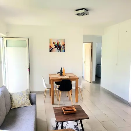 Birds Paradise Apartment